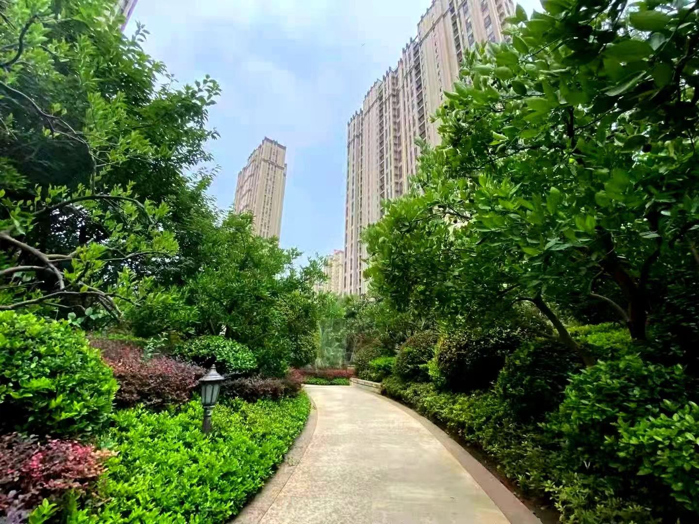活动图